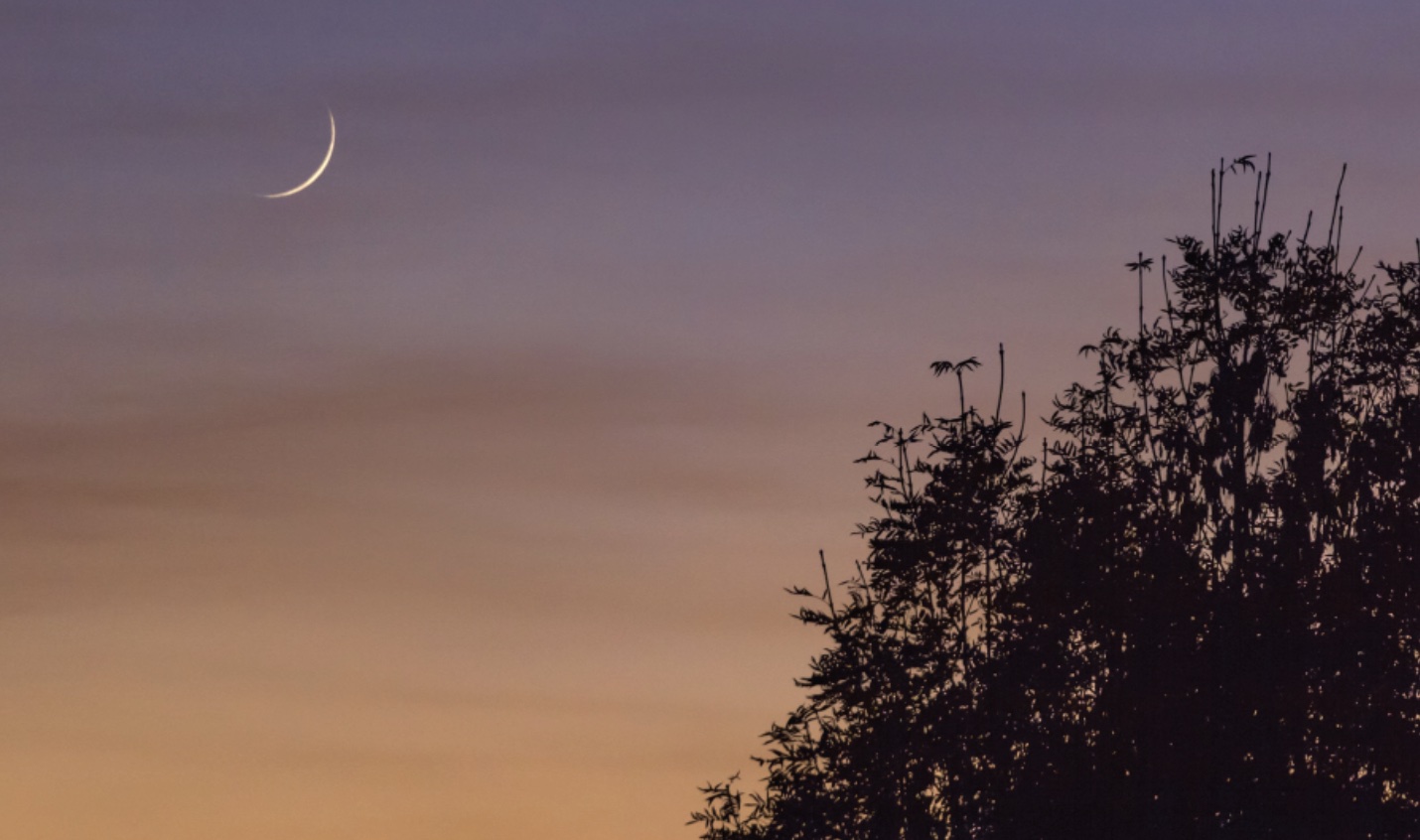 റമദാൻ - കരുണയുെട മാസം